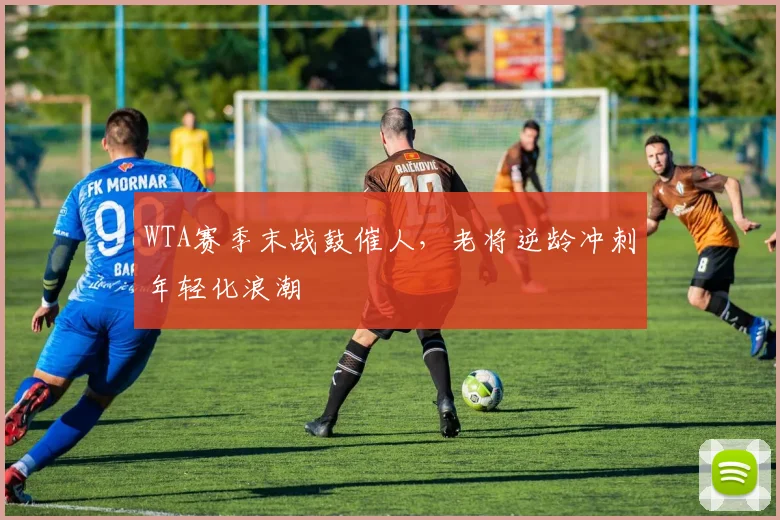 WTA赛季末战鼓催人,老将逆龄冲刺年轻化浪潮