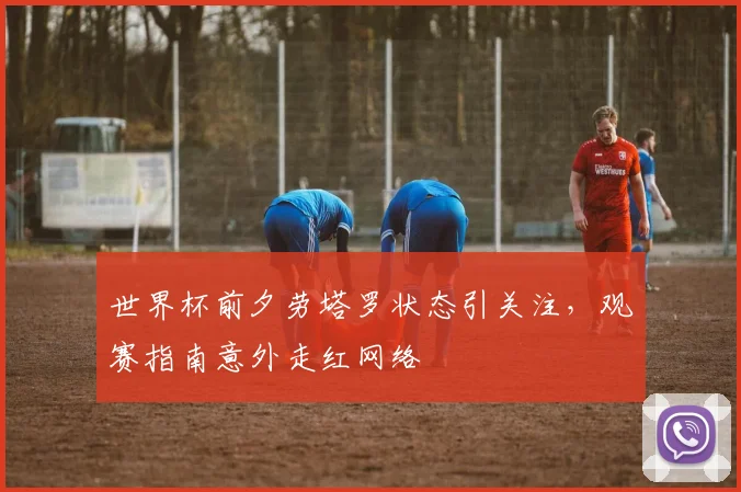 世界杯前夕劳塔罗状态引关注，观赛指南意外走红网络