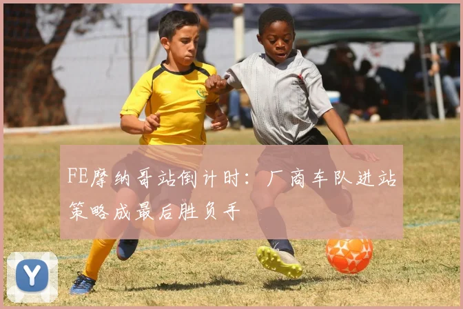 FE摩纳哥站倒计时:厂商车队进站策略成最后胜负手