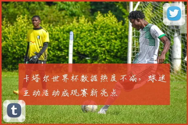 卡塔尔世界杯数据热度不减,球迷互动活动成观赛新亮点