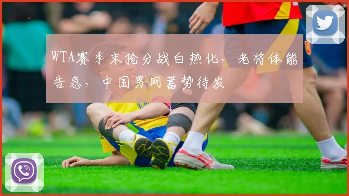 WTA赛季末抢分战白热化,老将体能告急,中国男网蓄势待发