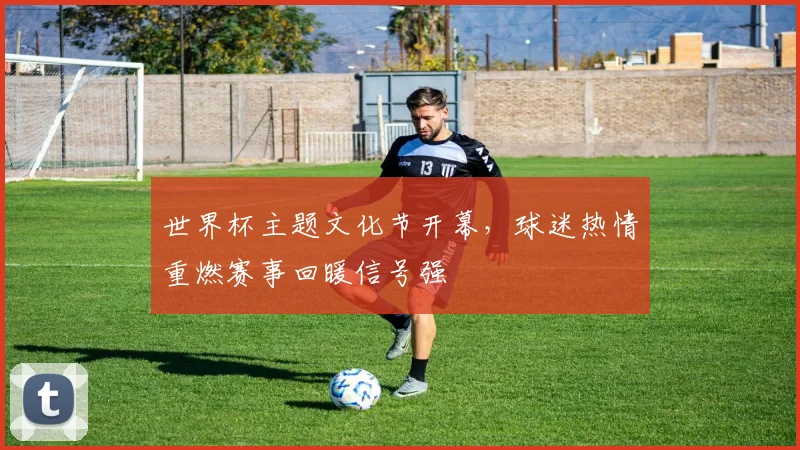 世界杯主题文化节开幕，球迷热情重燃赛事回暖信号强