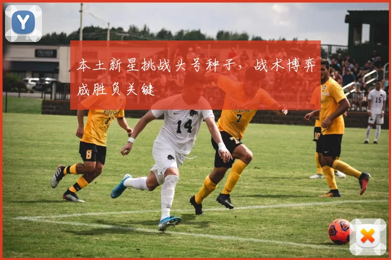 本土新星挑战头号种子,战术博弈成胜负关键