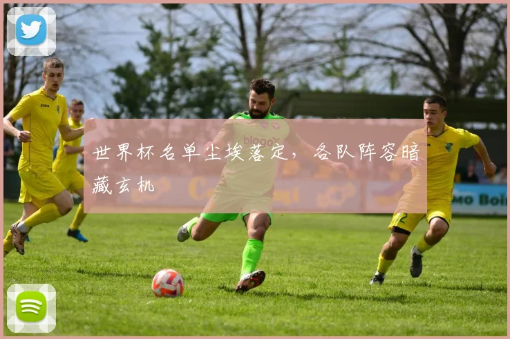 世界杯名单尘埃落定，各队阵容暗藏玄机